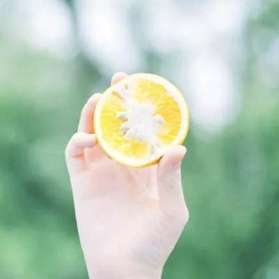 乐鱼app官方下载入口